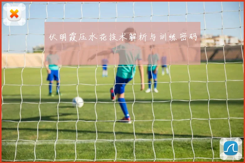 伏明霞压水花技术解析与训练密码