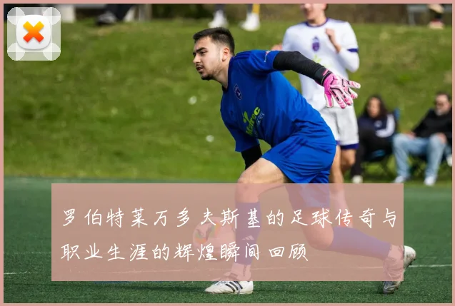 罗伯特莱万多夫斯基的足球传奇与职业生涯的辉煌瞬间回顾