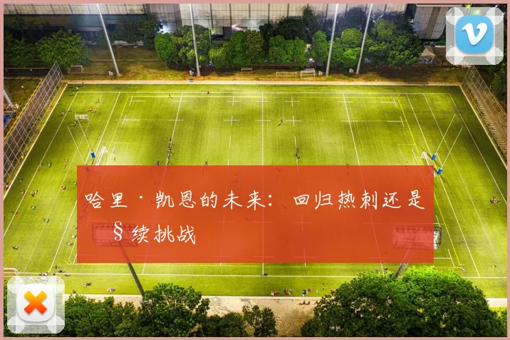 哈里·凯恩的未来：回归热刺还是继续挑战