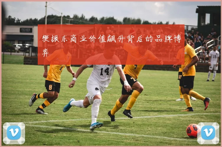 樊振东商业价值飙升背后的品牌博弈