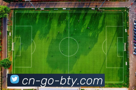 探索运动的多元魅力：从身体健康到心理平衡的全面解析