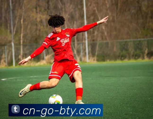 bsportsAPP 封面图